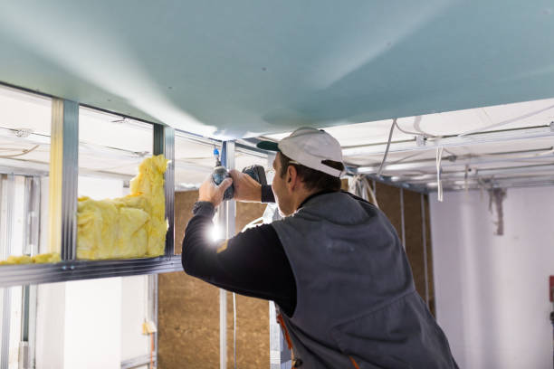 Best Blown-in Insulation in Remerton, GA