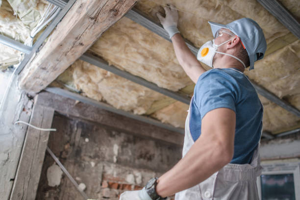 Best Insulation Maintenance and Repair in Remerton, GA