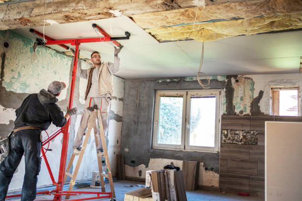 Best Cellulose Insulation in Remerton, GA