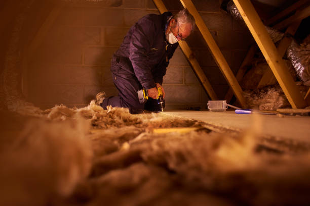 Best Commercial Insulation in Remerton, GA