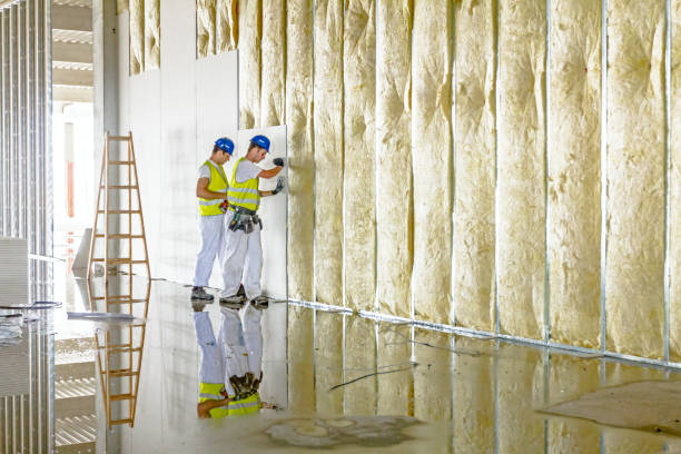 Trusted Remerton, GA Insulation Contractor Experts